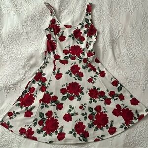 Red Roses Skater Dress